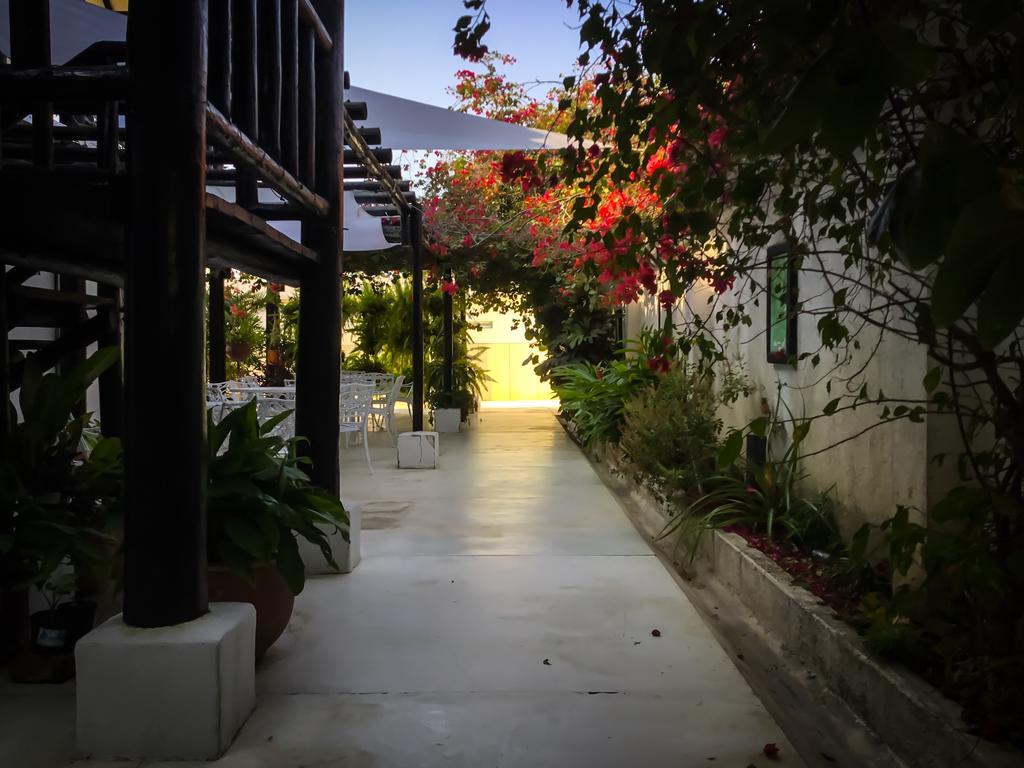 Casa Ines Bed and Breakfast Santa Marta  Exterior foto